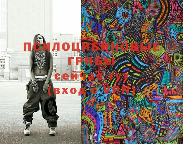 твердый Михайловка