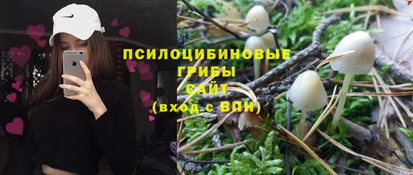 сатива Железноводск
